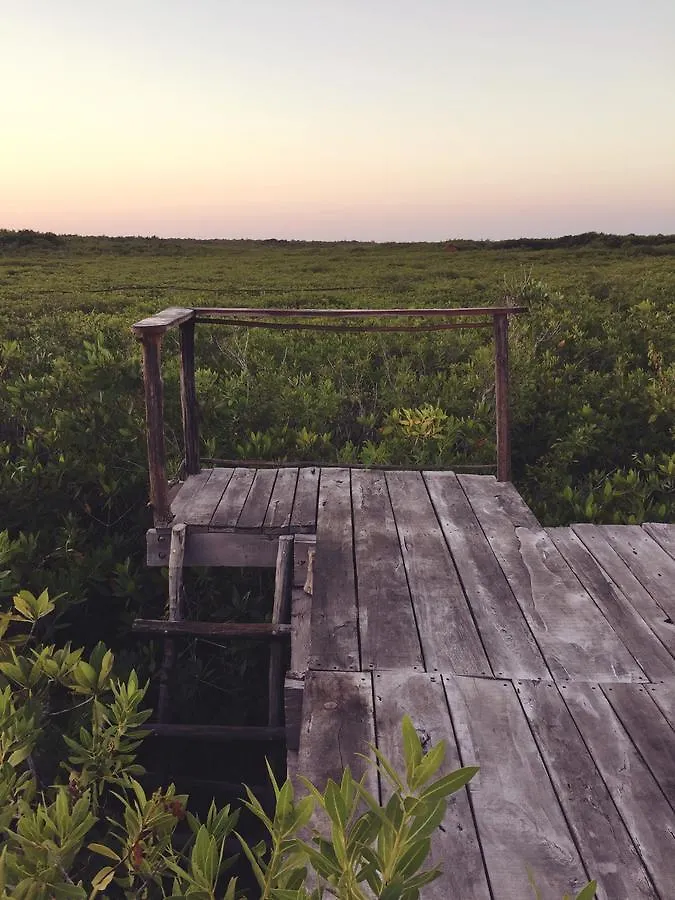 מלון Nativus Glamping & Cenote טולום